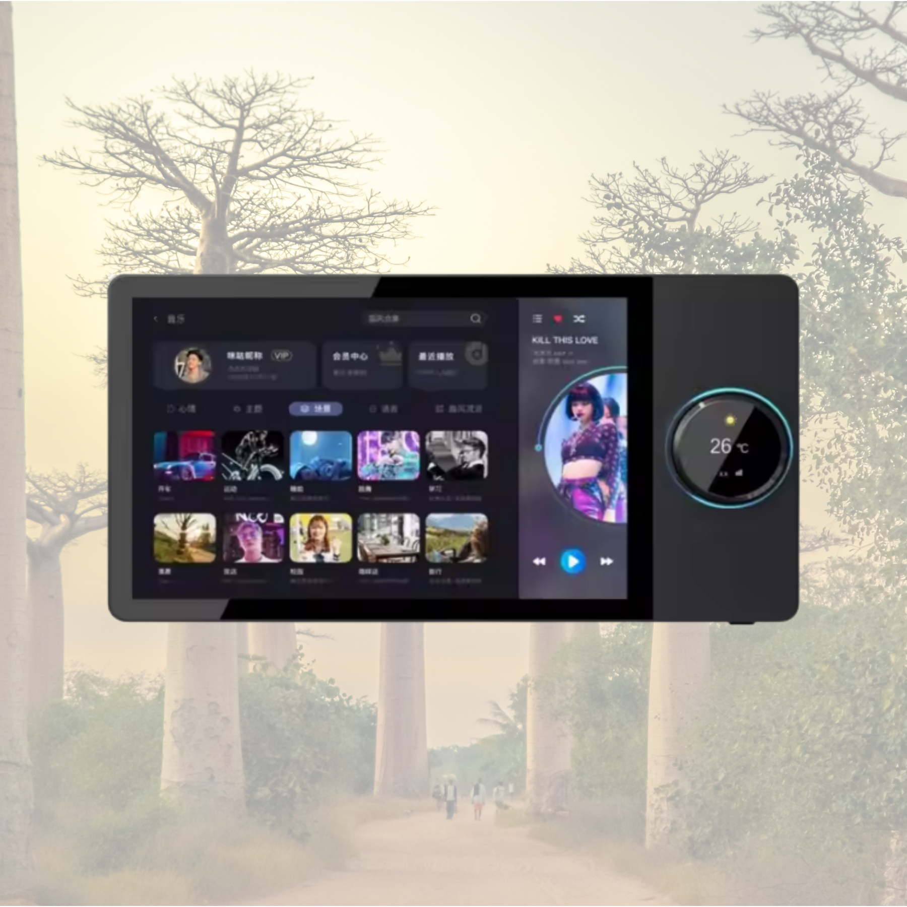 Contrôle-centralisé Sénégal smart