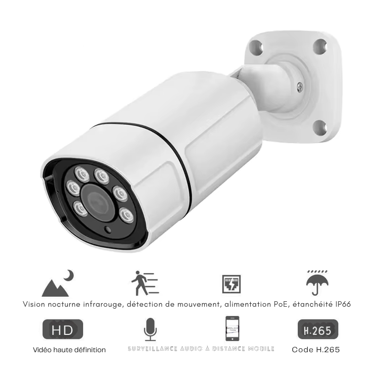 Caméra Bullet extérieure NVR POE 8MP