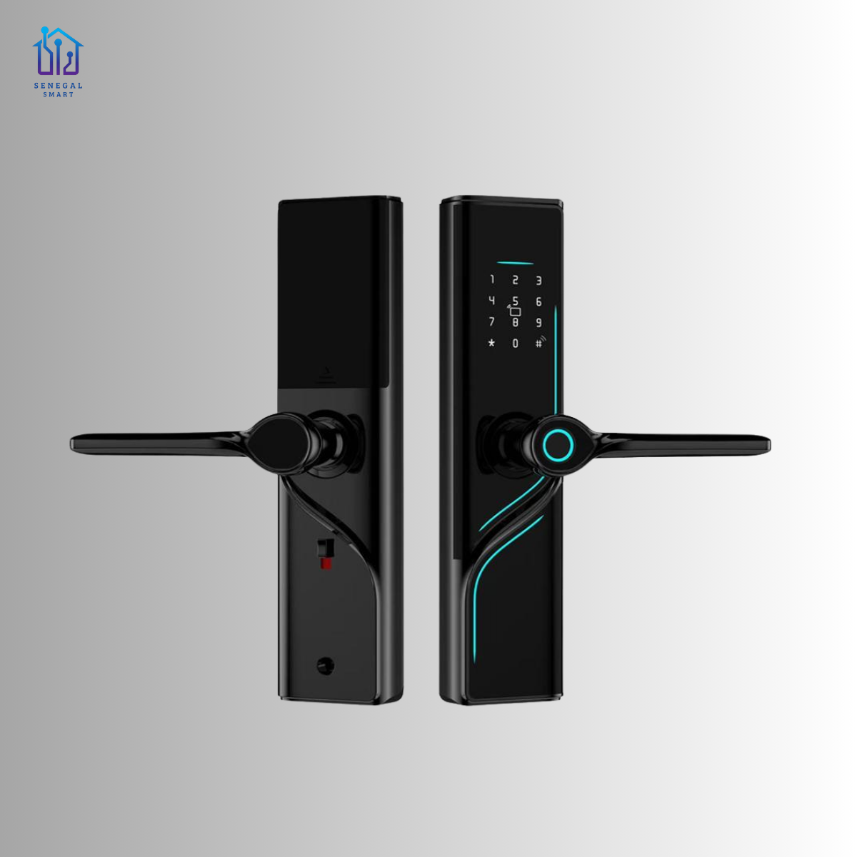 Smart Lock LK0192 (Waterproof IP65)