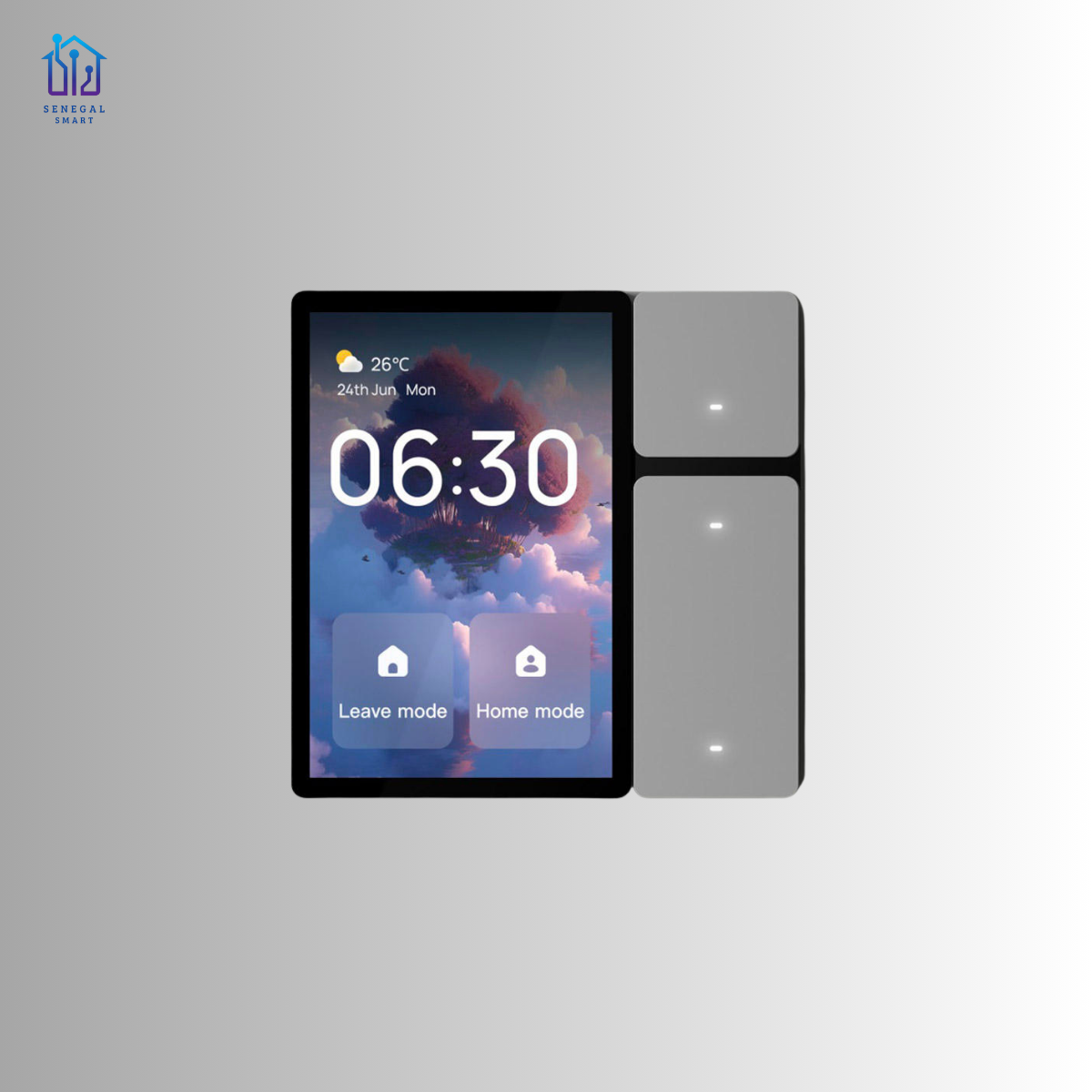 Hub mural tactile - 3.5 Pouces avec bouton