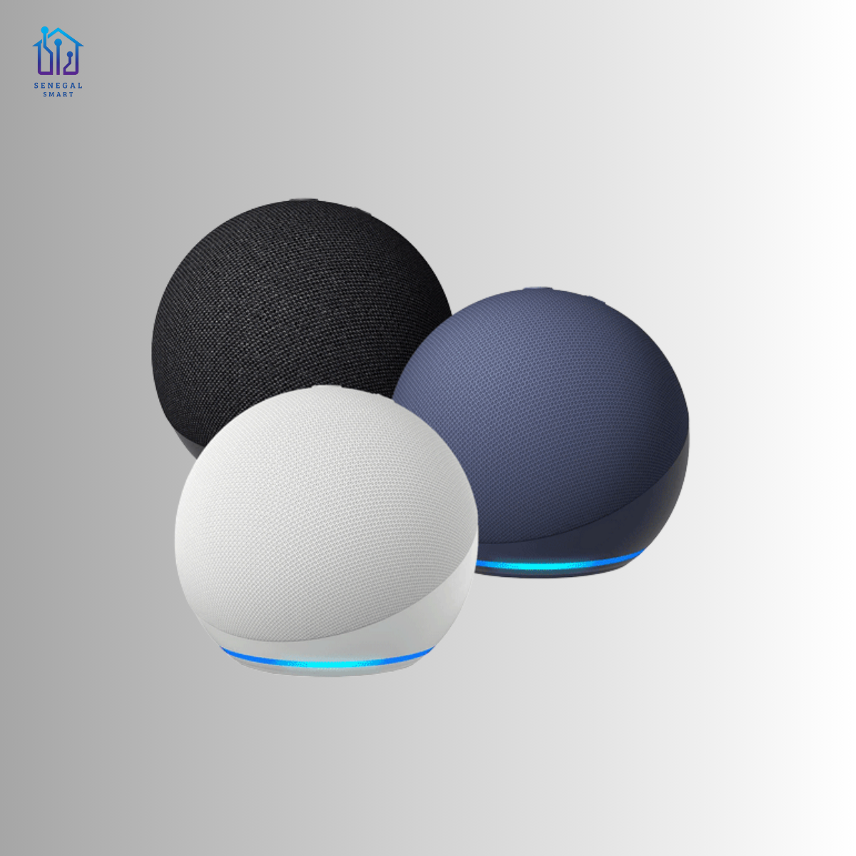 Alexa Echo Dot 5e génération