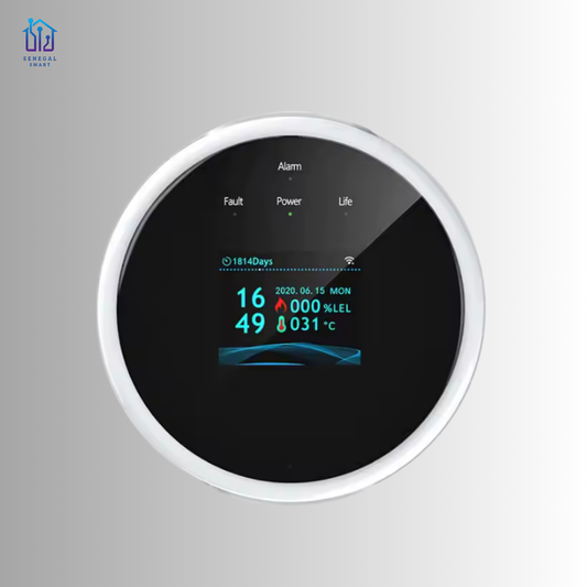 Détecteur Fuite de Gaz