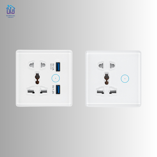 Prise USB + T (US SIZE)